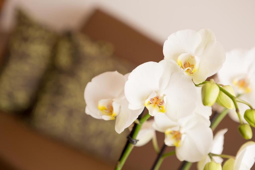 Residence Hirzer ลากุนโด ภายนอก รูปภาพ